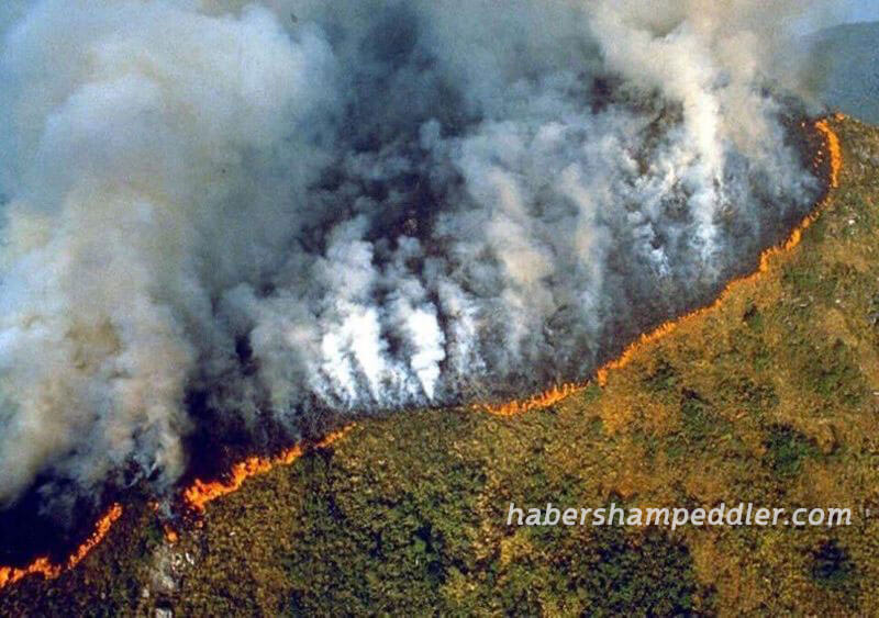 Amazon ป่าไม้ในประเทศบราซิลกำลังประสบกับไฟป่าครั้งที่เลวร้ายที่สุดในรอบเกือบ 10 ปีข้อมูลจากหน่วยงานวิจัยจากอวกาศ INPE Amazon
