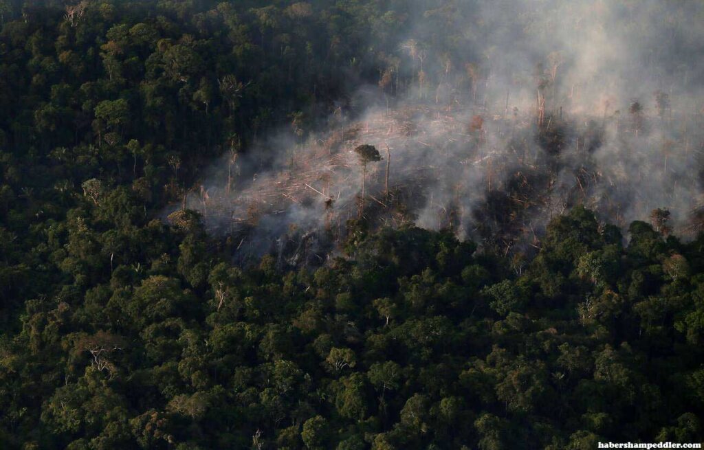 Amazon nations แปดประเทศในอเมริกาใต้ตกลงที่จะก่อตั้งพันธมิตรเพื่อปกป้องอเมซอน โดยให้คำมั่นในการประชุมสุดยอดที่บราซิลว่าจะหยุดยั้ง